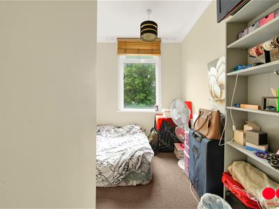 Picture 20